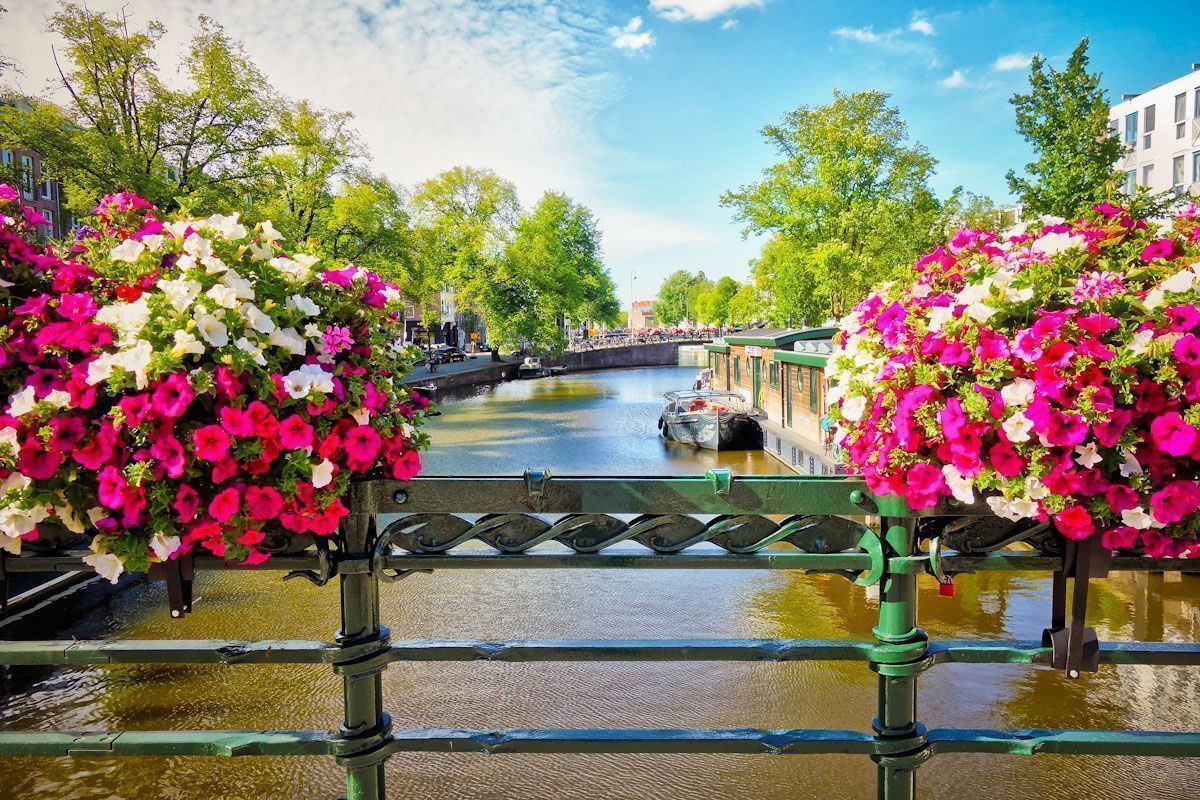 zwiedzanie objazdowe platinum amsterdam poczdam festiwal tulipanów miasto pałaców poczdam keukenhof funclub-4