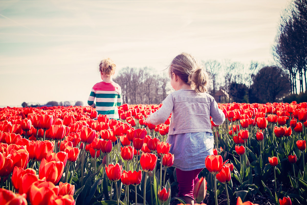 wyjazdy weekendowe holandia amsterdam festiwal tulipanów keukenhof funclub-7