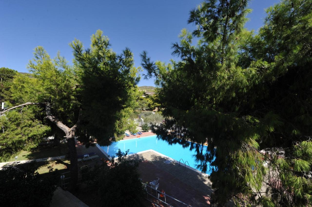 siagas beach grecja36