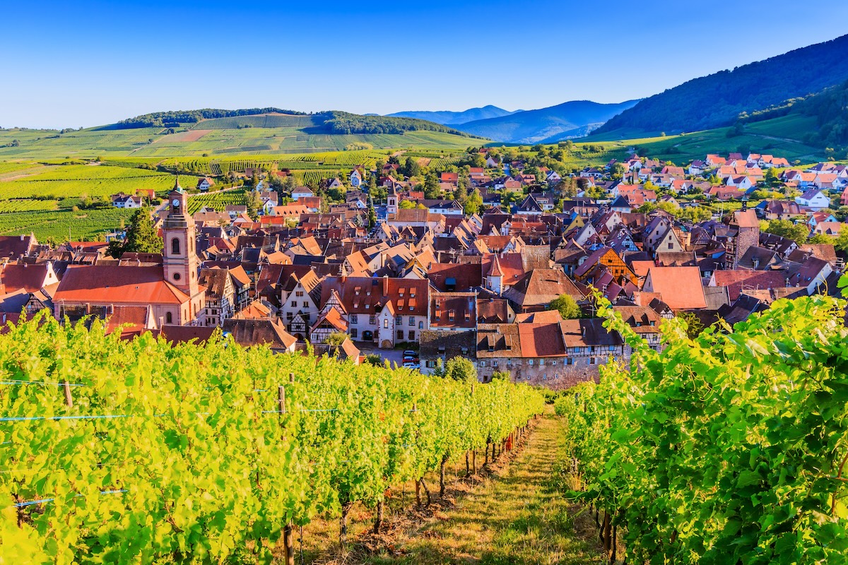 Riquewihr,,France.,Landscape,With,Vineyards,Near,The,Historic,Village.,The