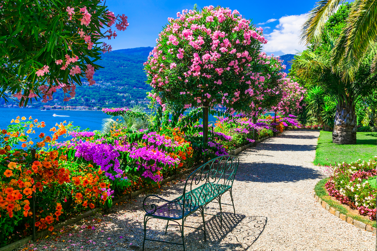 Lago,Maggiore,-,Beautiful,"isola,Madre",With,Ornamental,Floral,Gardens.