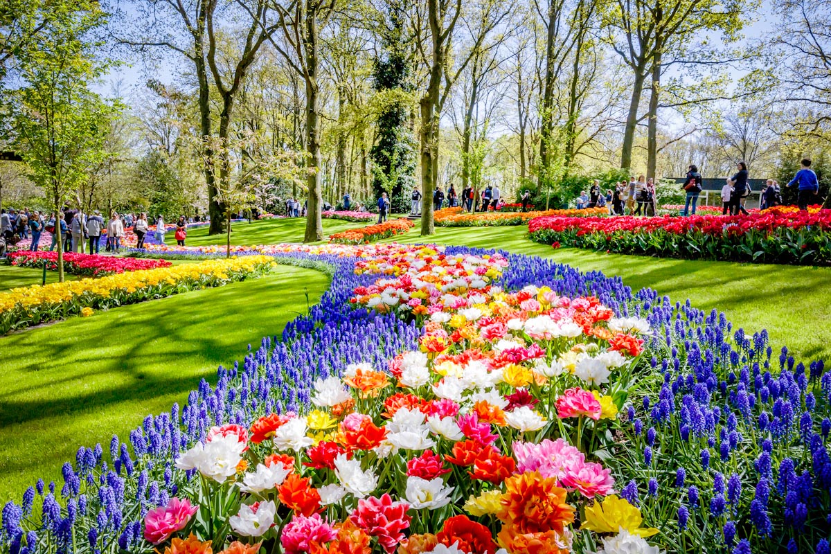 zwiedzanie weekendowe holandia keukenhof amsterdam tulipany funclub-9